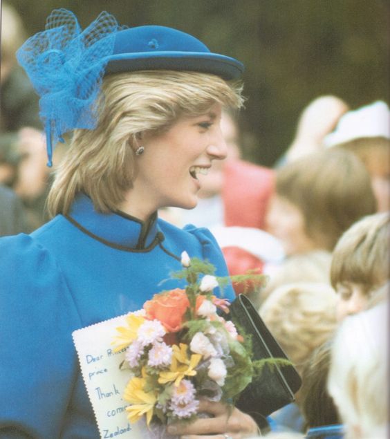 O conto de Lady Di - Princesa diana - genograma - diana de gales