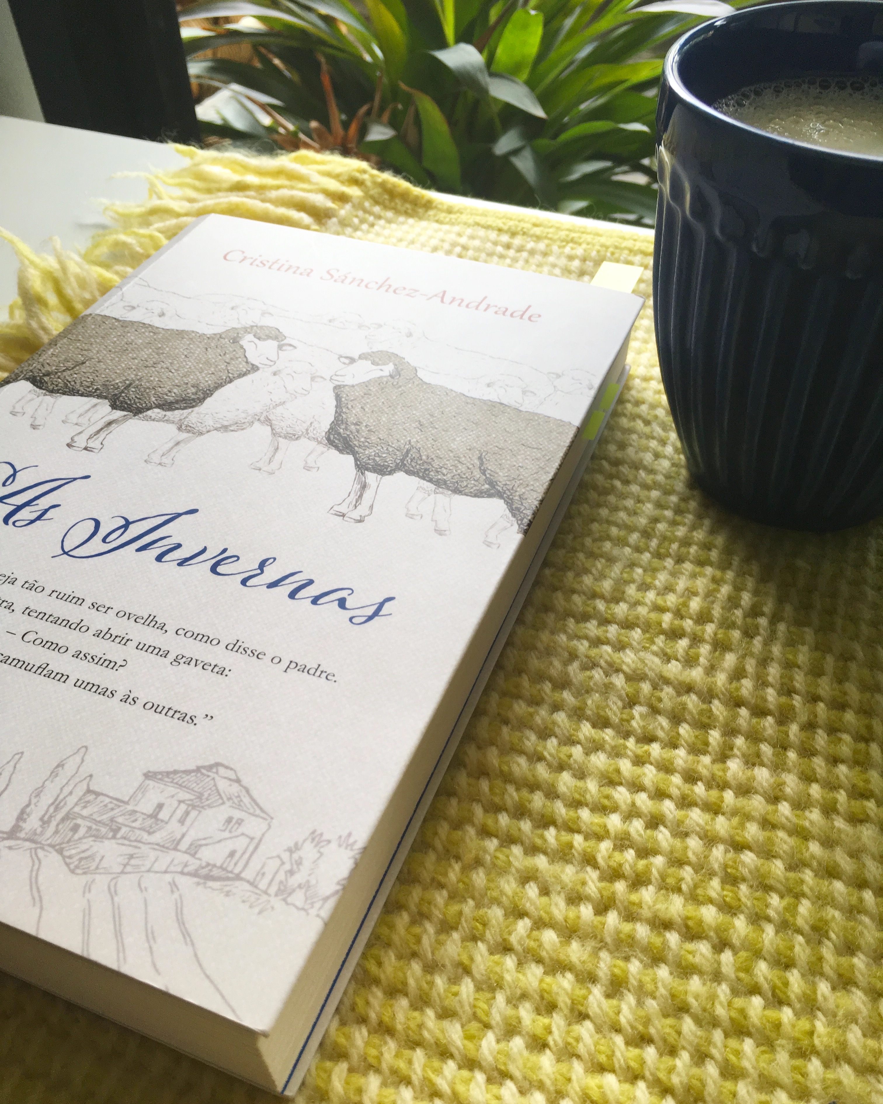 Melkberg - As invernas, Cristina Sanchez Andrade, relacionamento abusivo, solidao