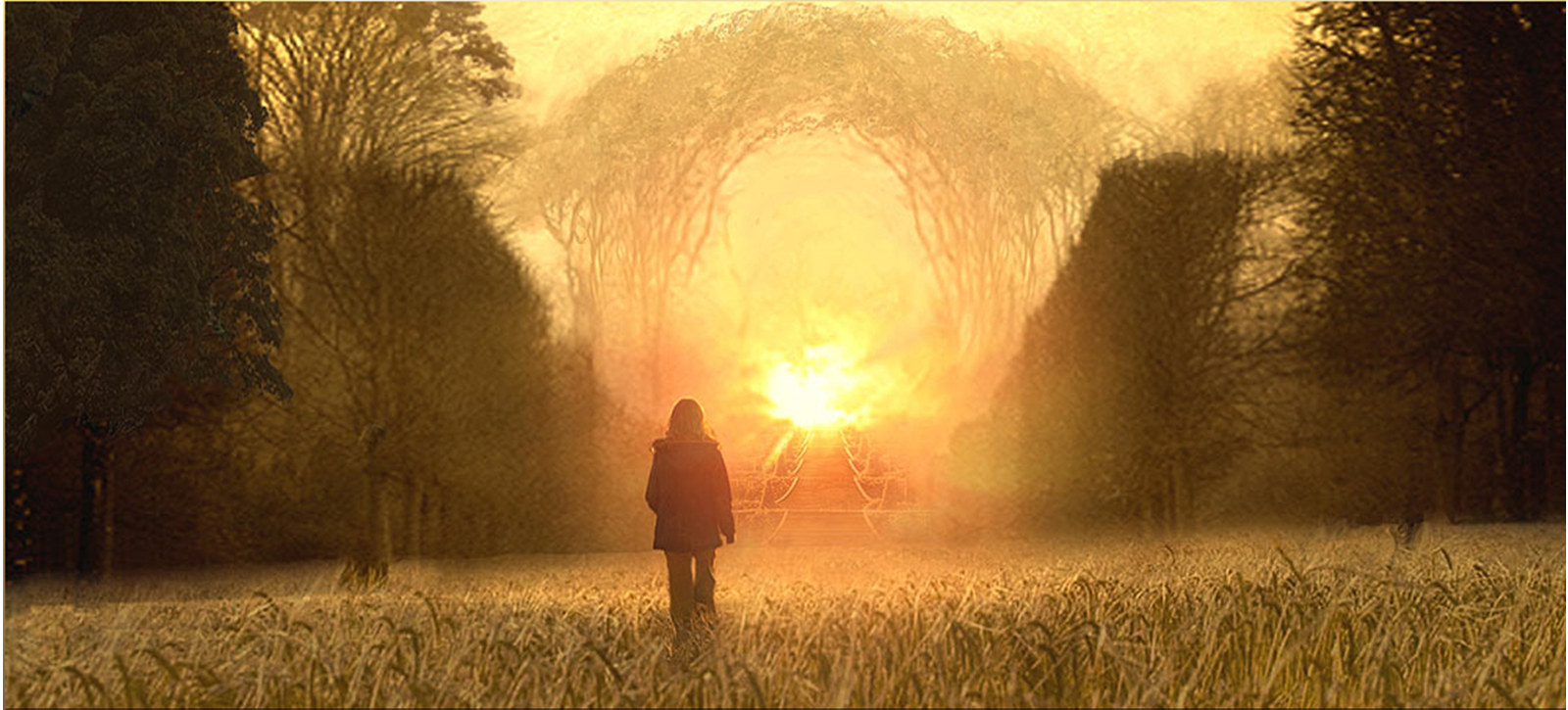 Um Olhar do Paraíso - Blog de psicologia Melkberg - fase - filha - perda - Susie - vida