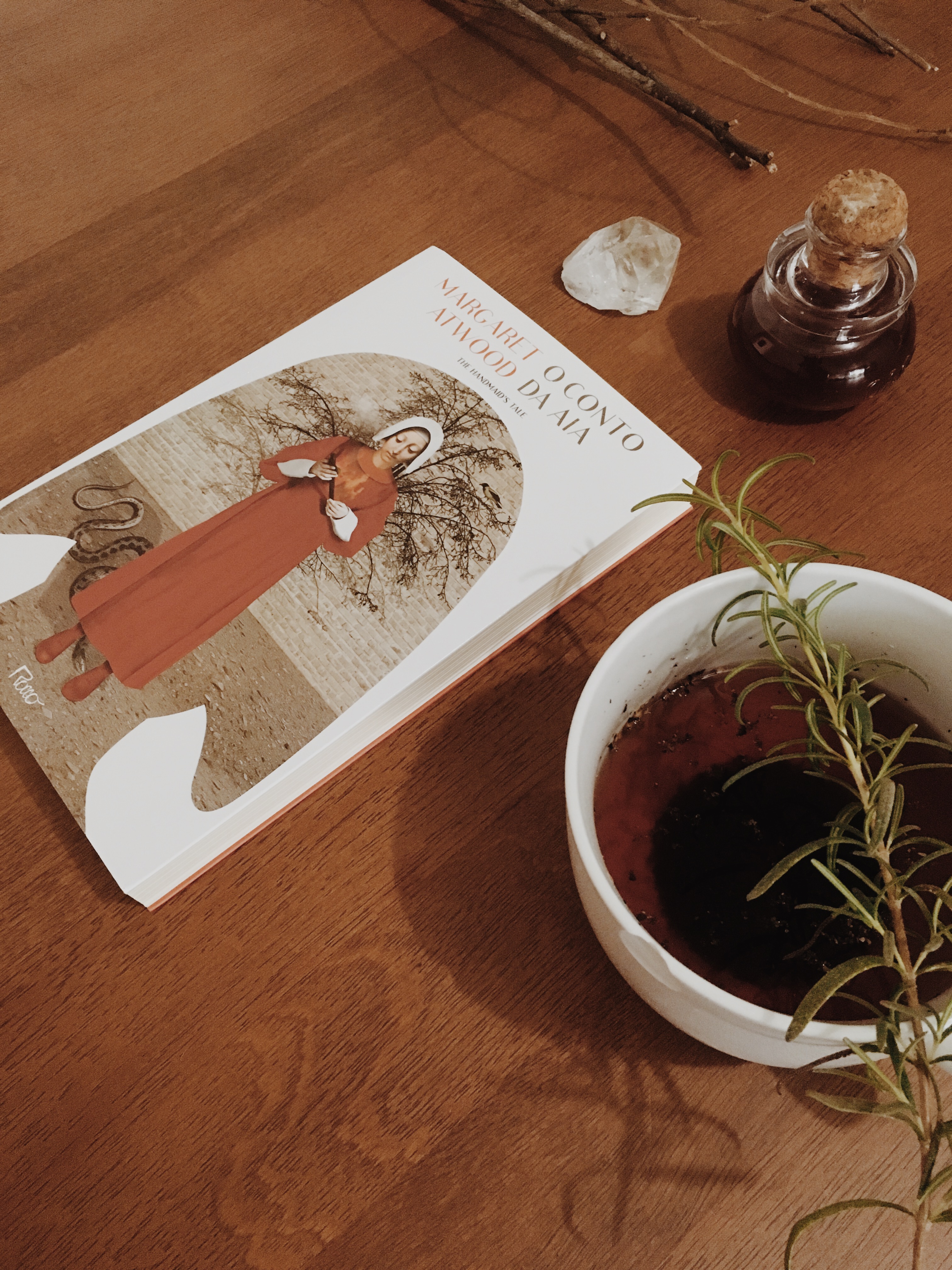 O Conto da Aia - Blog de Psicologia - Melkberg - livro - O Conto da Aia - mulher - Offred - poder