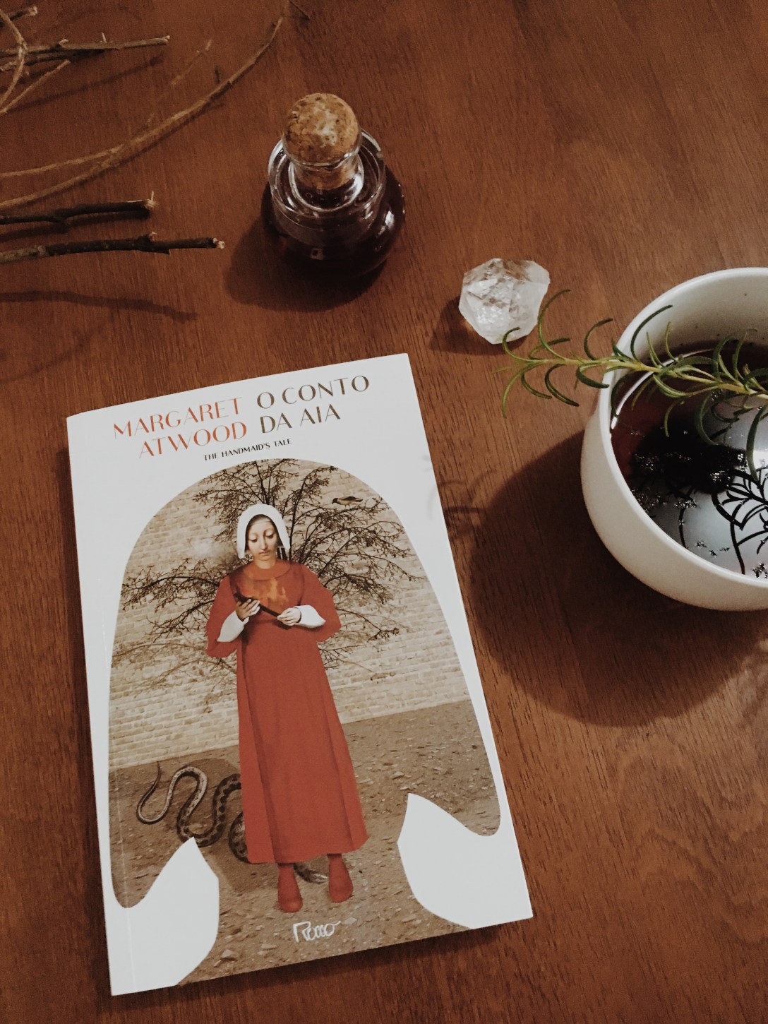 O Conto da Aia - Blog de Psicologia - Melkberg - livro - O Conto da Aia - mulher - Offred - poder