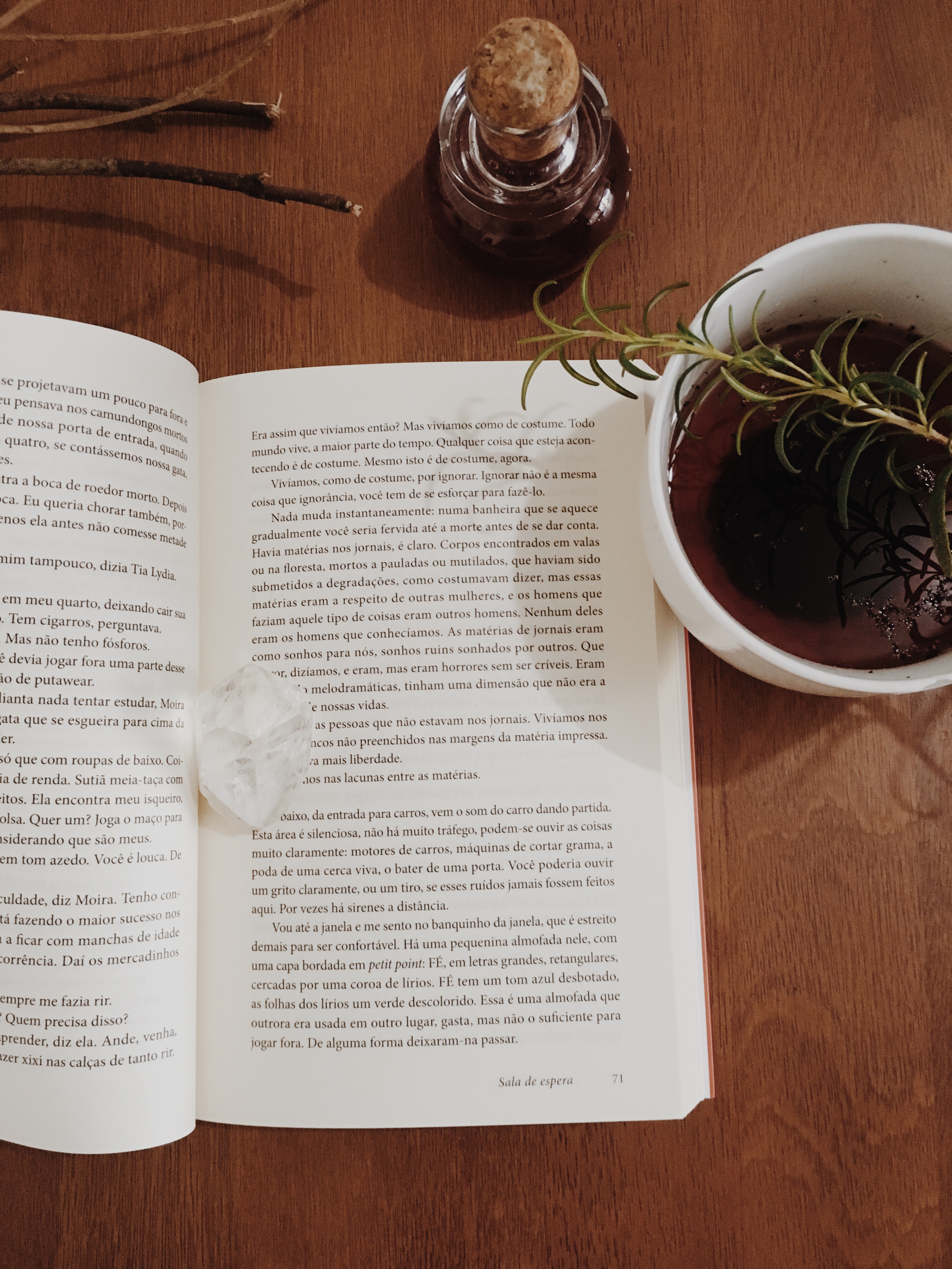 O Conto da Aia - Blog de Psicologia - Melkberg - livro - O Conto da Aia - mulher - Offred - poder 