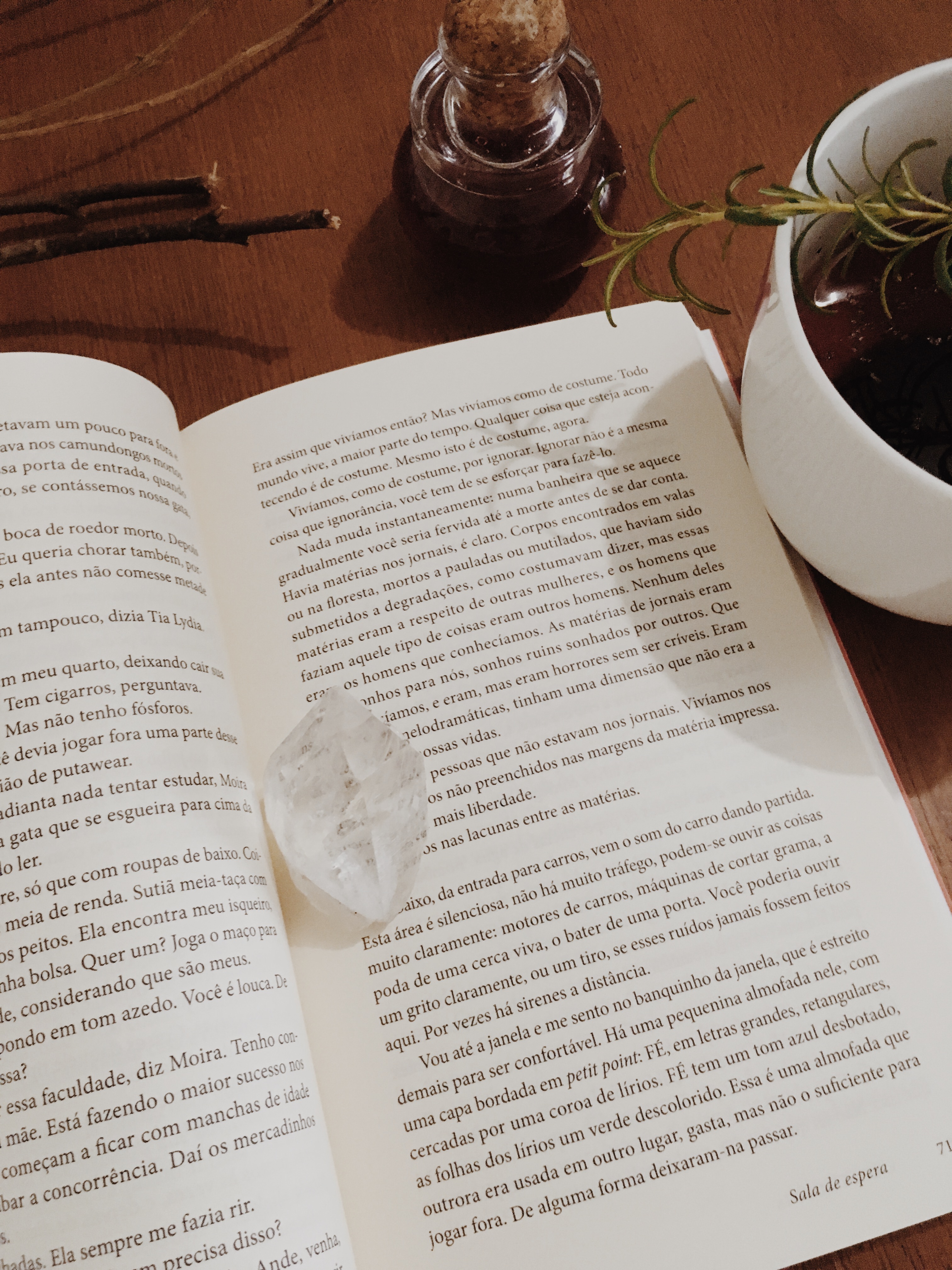 O Conto da Aia - Blog de Psicologia - Melkberg - livro - O Conto da Aia - mulher - Offred - poder 