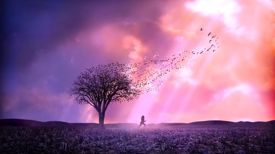 Um Olhar do Paraíso - Blog de psicologia Melkberg - fase - filha - perda - Susie - vida - Susie Salmon - luto - adolescente - filme - resumo - imagens - morte - assassinato