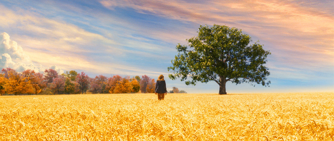 Um Olhar do Paraíso - Blog de psicologia Melkberg - fase - filha - perda - Susie - vida - Susie Salmon - luto - adolescente - filme - resumo - imagens - morte - assassinato 