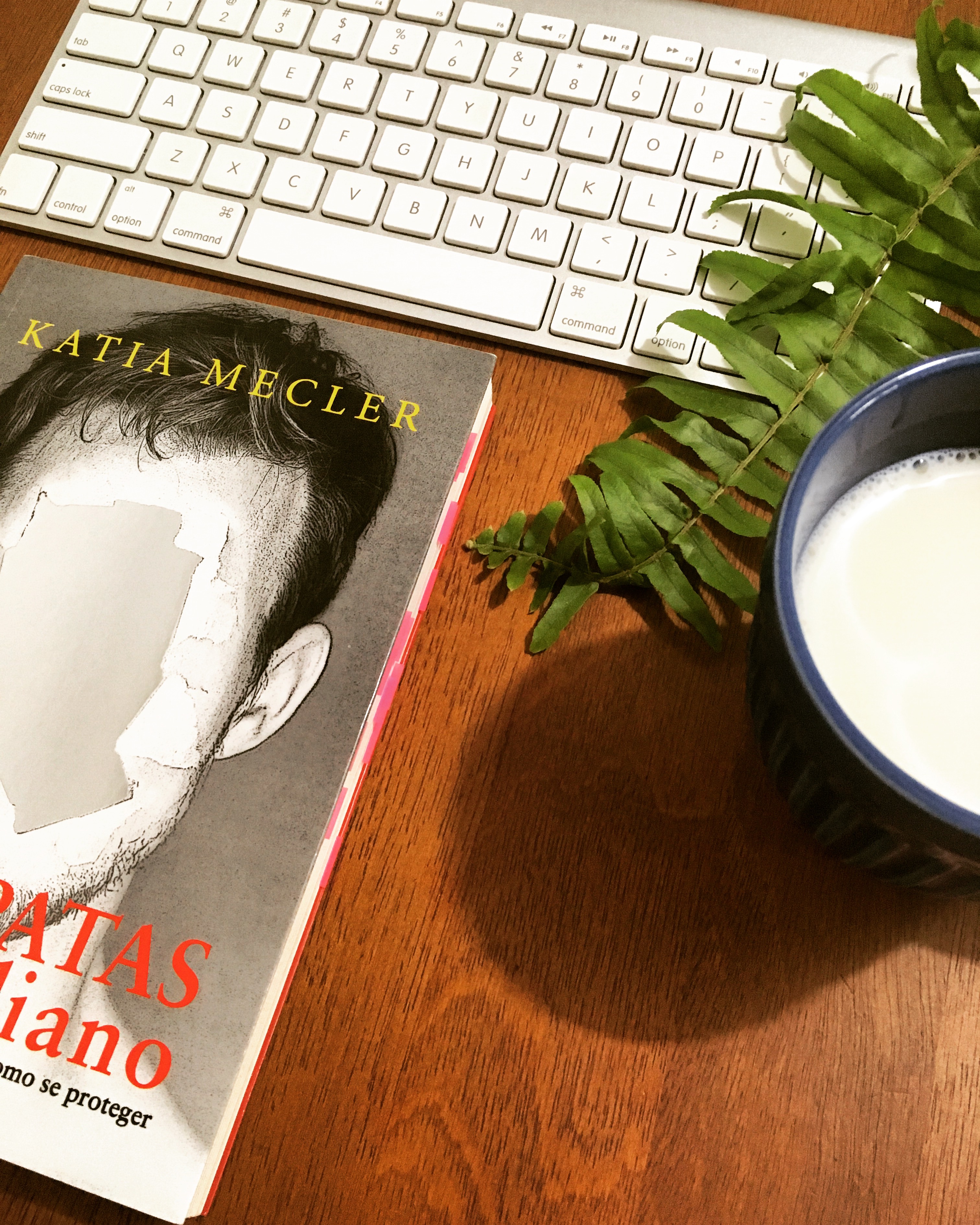 Psicopatas do Cotidiano - Katia Mecler - blog de psicologia - Melkberg - Katia Mecler - livro - Psicopatas do Cotidiano - psicopatias - transtornos de personalidade