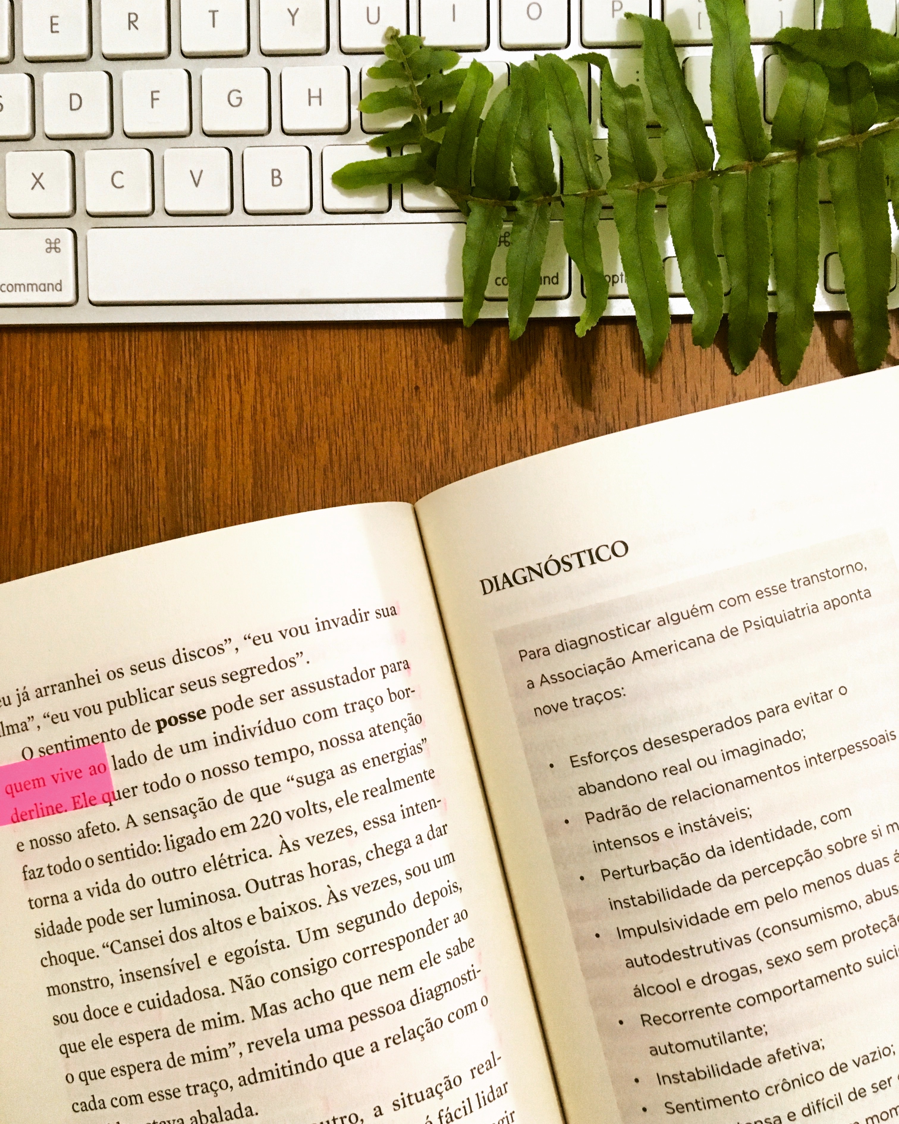 Psicopatas do Cotidiano - Katia Mecler - blog de psicologia - Melkberg - Katia Mecler - livro - Psicopatas do Cotidiano - psicopatias - transtornos de personalidade 