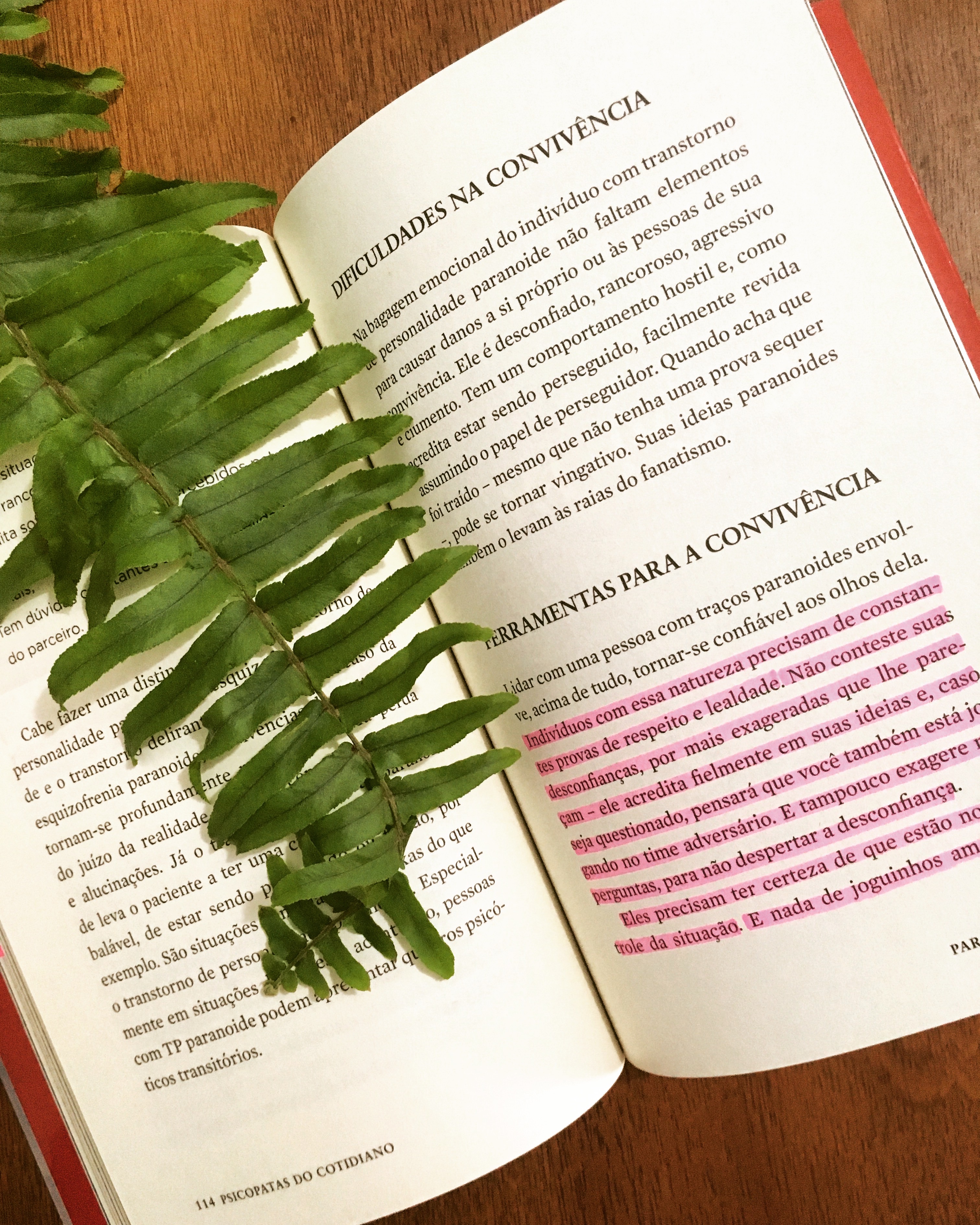 Psicopatas do Cotidiano - Katia Mecler - blog de psicologia - Melkberg - Katia Mecler - livro - Psicopatas do Cotidiano - psicopatias - transtornos de personalidade