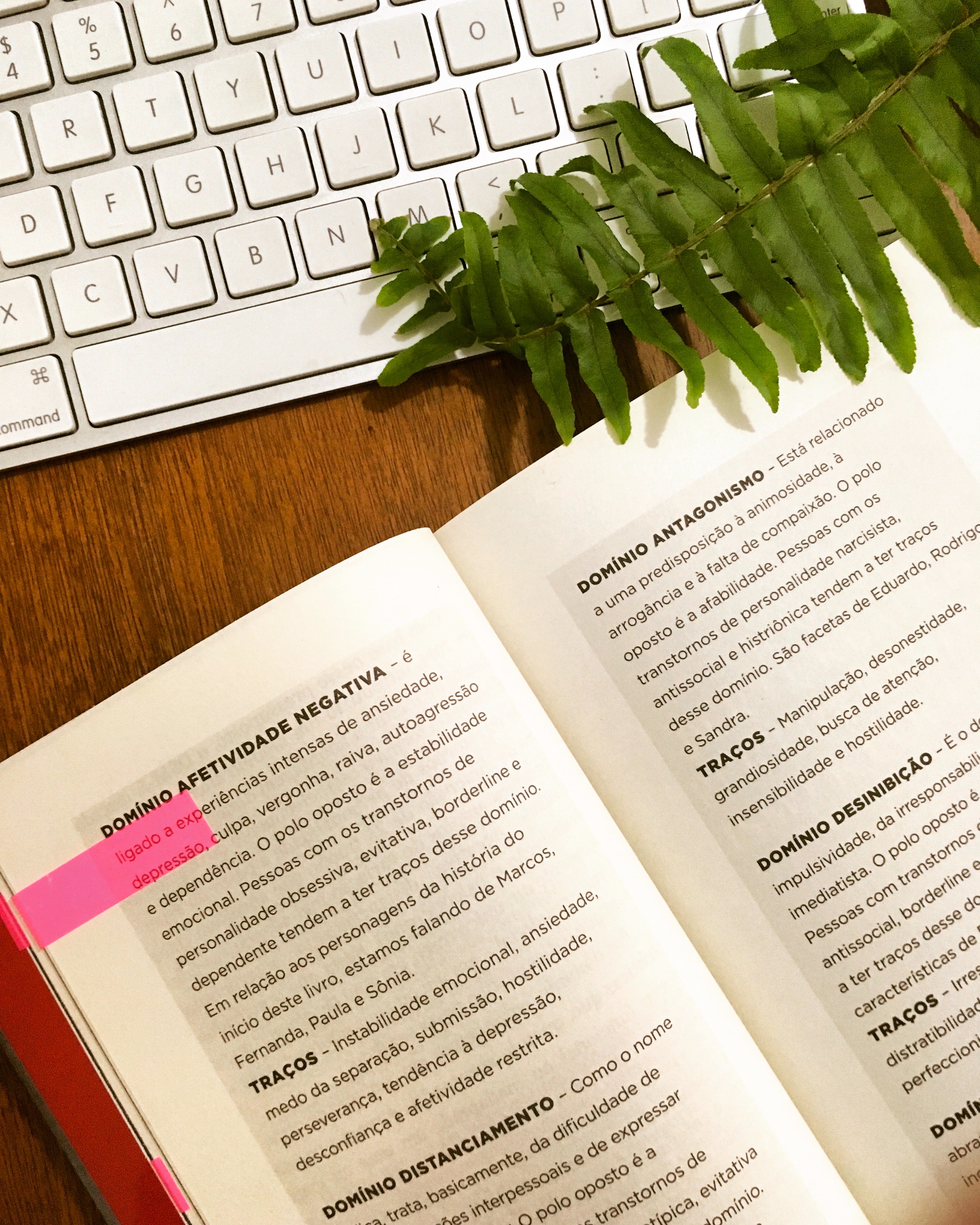 Psicopatas do Cotidiano - Katia Mecler - blog de psicologia - Melkberg - Katia Mecler - livro - Psicopatas do Cotidiano - psicopatias - transtornos de personalidade