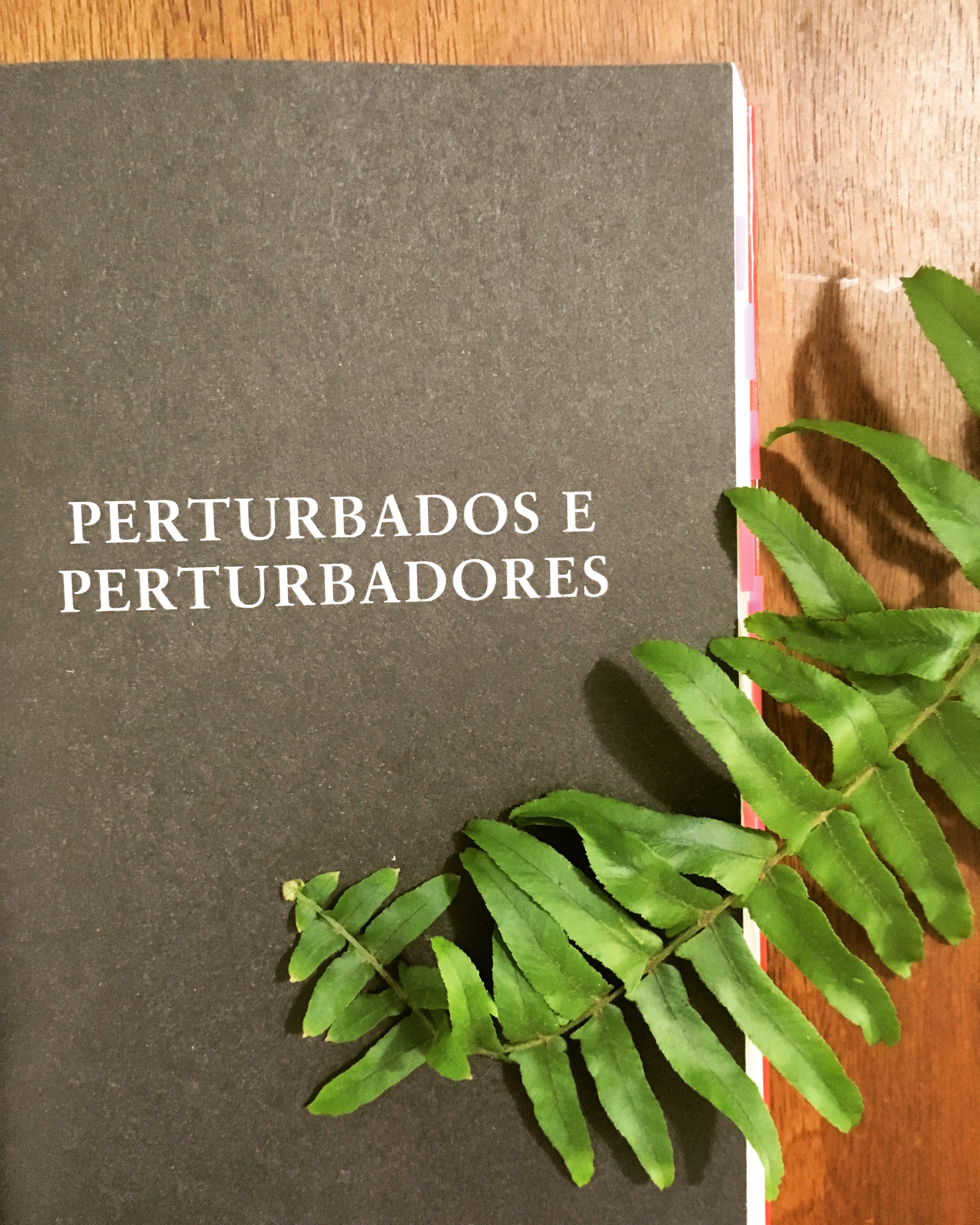 Psicopatas do Cotidiano - Katia Mecler - blog de psicologia - Melkberg - Katia Mecler - livro - Psicopatas do Cotidiano - psicopatias - transtornos de personalidade 