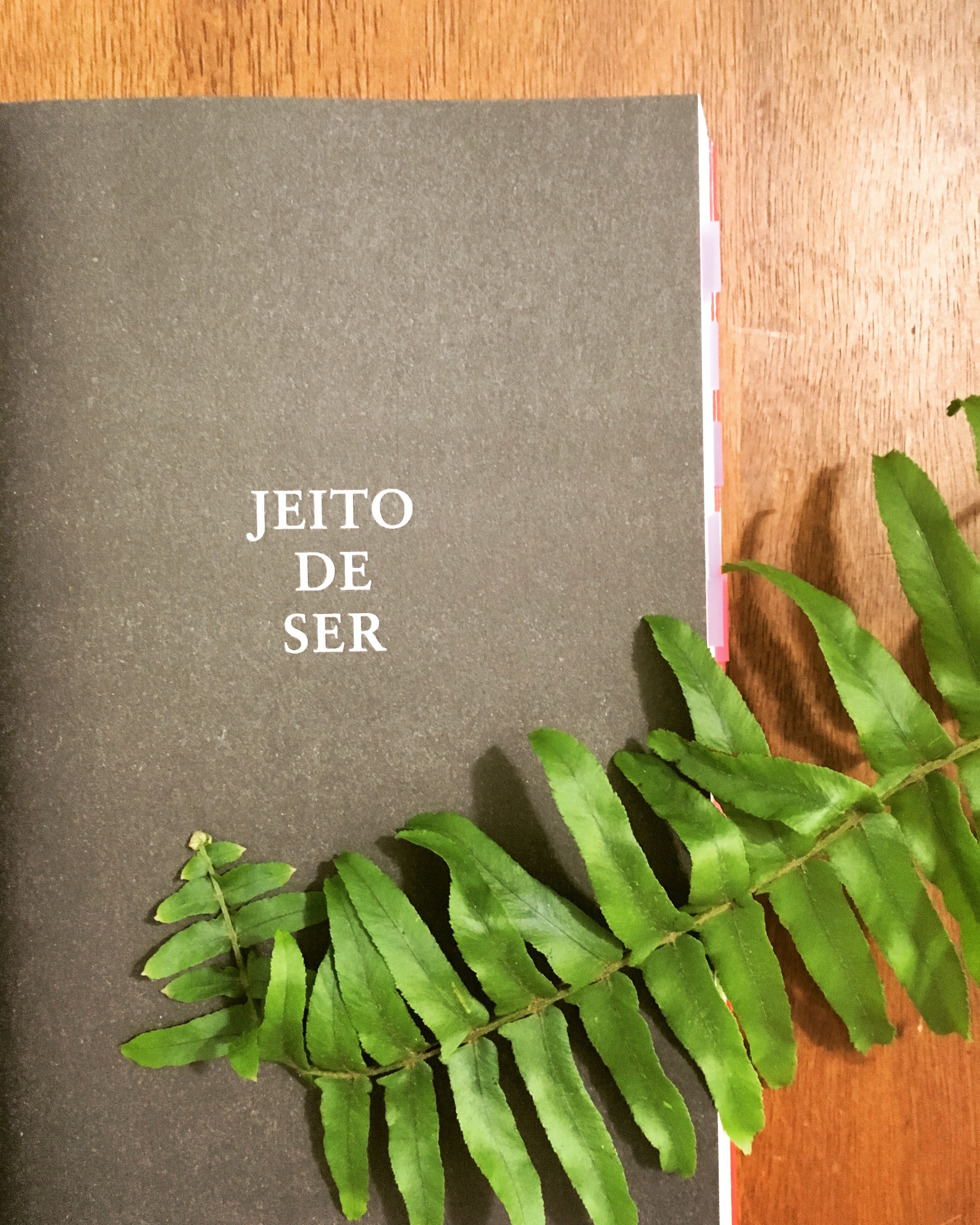 Psicopatas do Cotidiano - Katia Mecler - blog de psicologia - Melkberg - Katia Mecler - livro - Psicopatas do Cotidiano - psicopatias - transtornos de personalidade 