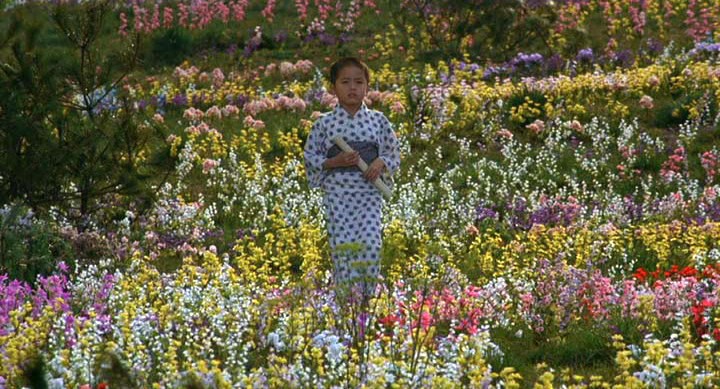 Resumo: Filme Sonhos de Akira Kurosawa - blog psicologia Melkberg - resumo - Sonhos - filme - natureza - morte - Akira Kurosawa