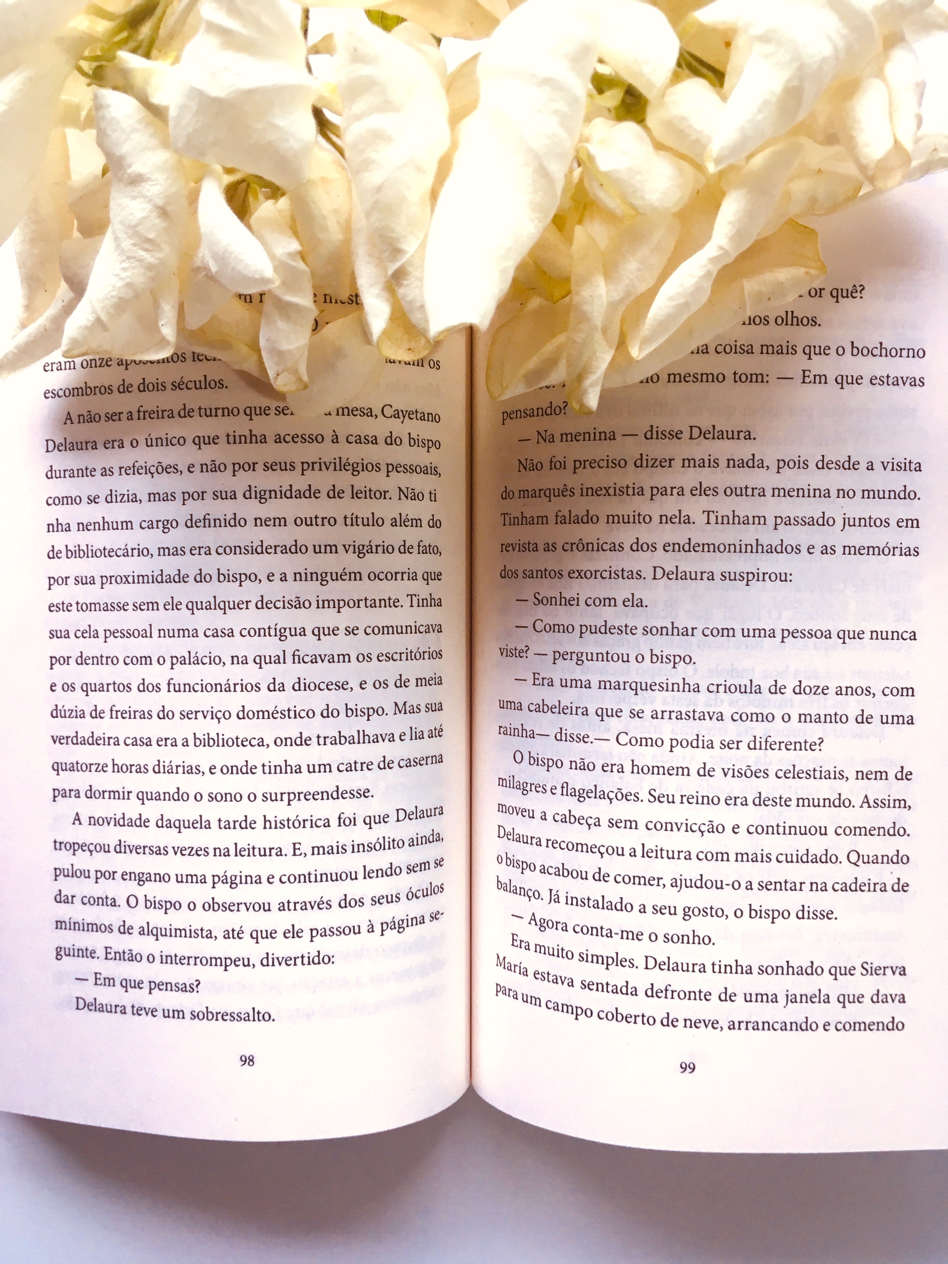 Análise Psicológica: Do amor e outros demônios de Gabriel García Márquez -blog de psicologia Melkberg - Bernarda Cabrera - convento - Do amor e outros demônios - Gabriel García Márquez - livro - marquês Ygnacio - Sierva María  - medo - Santa Clara - análise - análise psicológica 