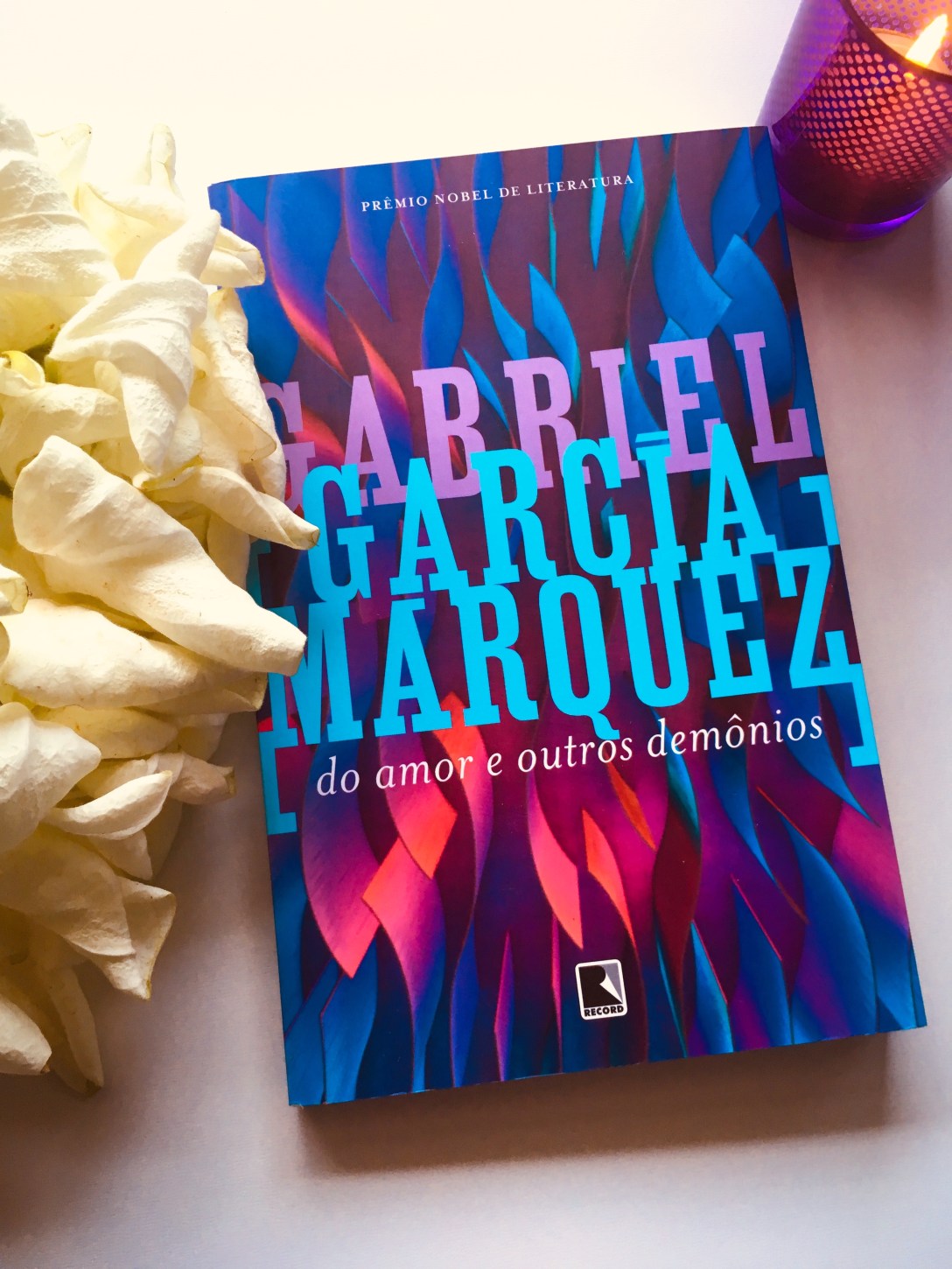 Análise Psicológica: Do amor e outros demônios de Gabriel García Márquez -blog de psicologia Melkberg - Bernarda Cabrera - convento - Do amor e outros demônios - Gabriel García Márquez - livro - marquês Ygnacio - Sierva María - medo - Santa Clara - análise - análise psicológica