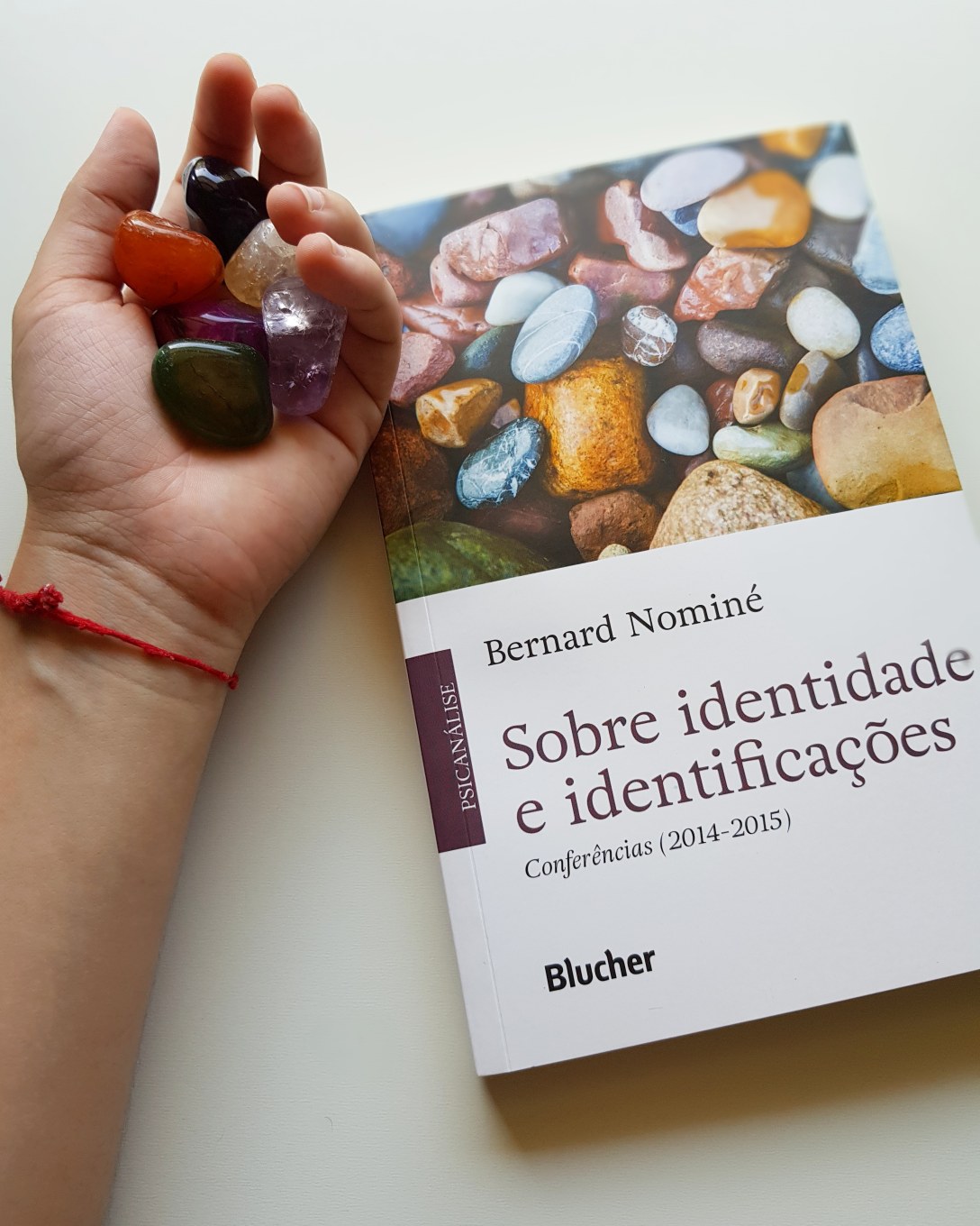 Sobre Identidade e Identificações | Psicanálise, Teorias e Gênero - blog de psicologia Melkberg - Sobre Identidade e Identificações - Bernard Nominé - identificação - identidade - outro - Lacan - Freud - gênero - desejo - teorias - livro - identificações - Psicanálise - editora Blucher