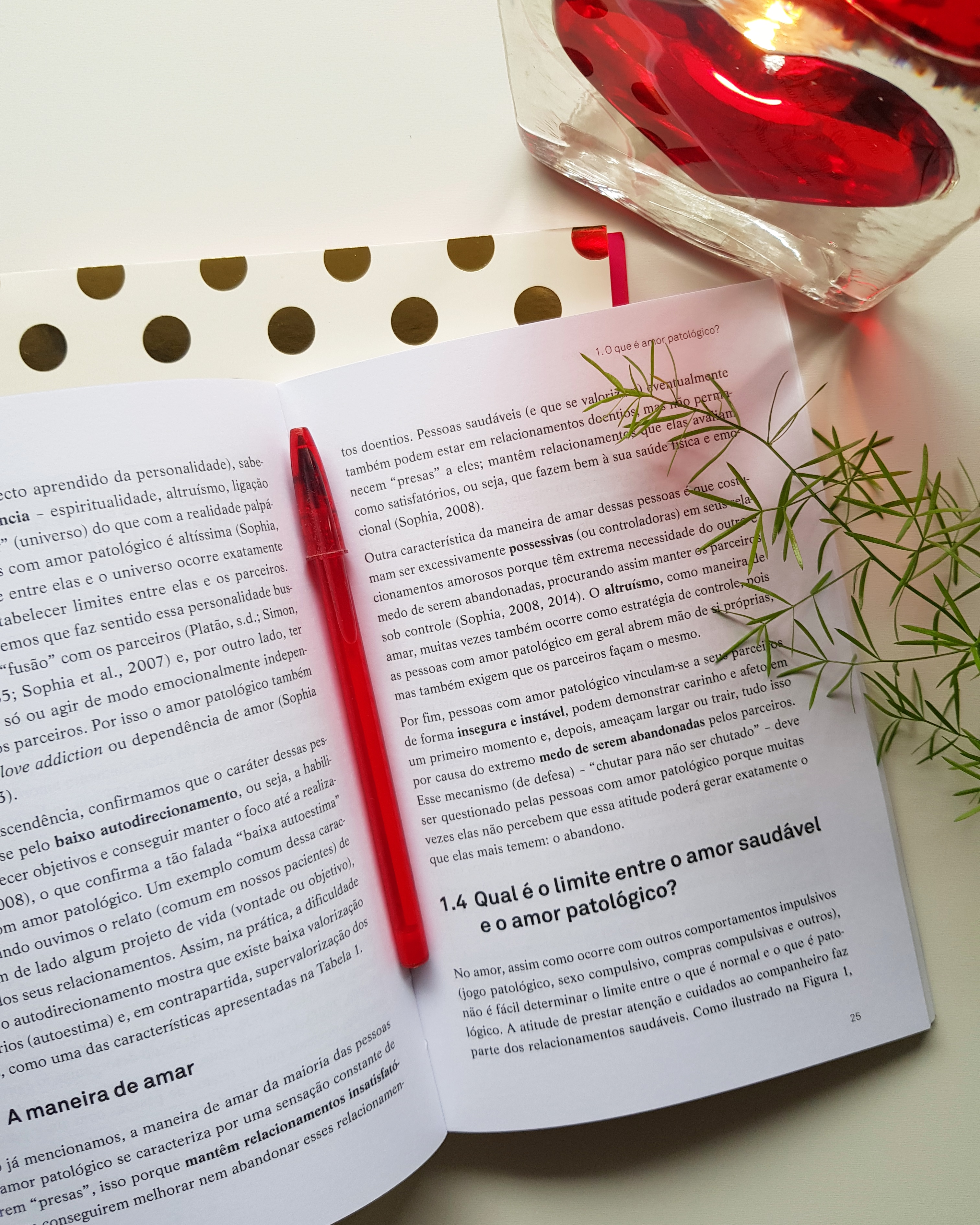 Livro: Como lidar com o amor patológico - um guia prático - blog de psicologia Melkberg - amor patológico - amor - guia prático - como lidar com o amor patológico - relacionamento - tratamento - parceiro - livro - controle - transtornos - sofrimento - abandono - diagnóstico