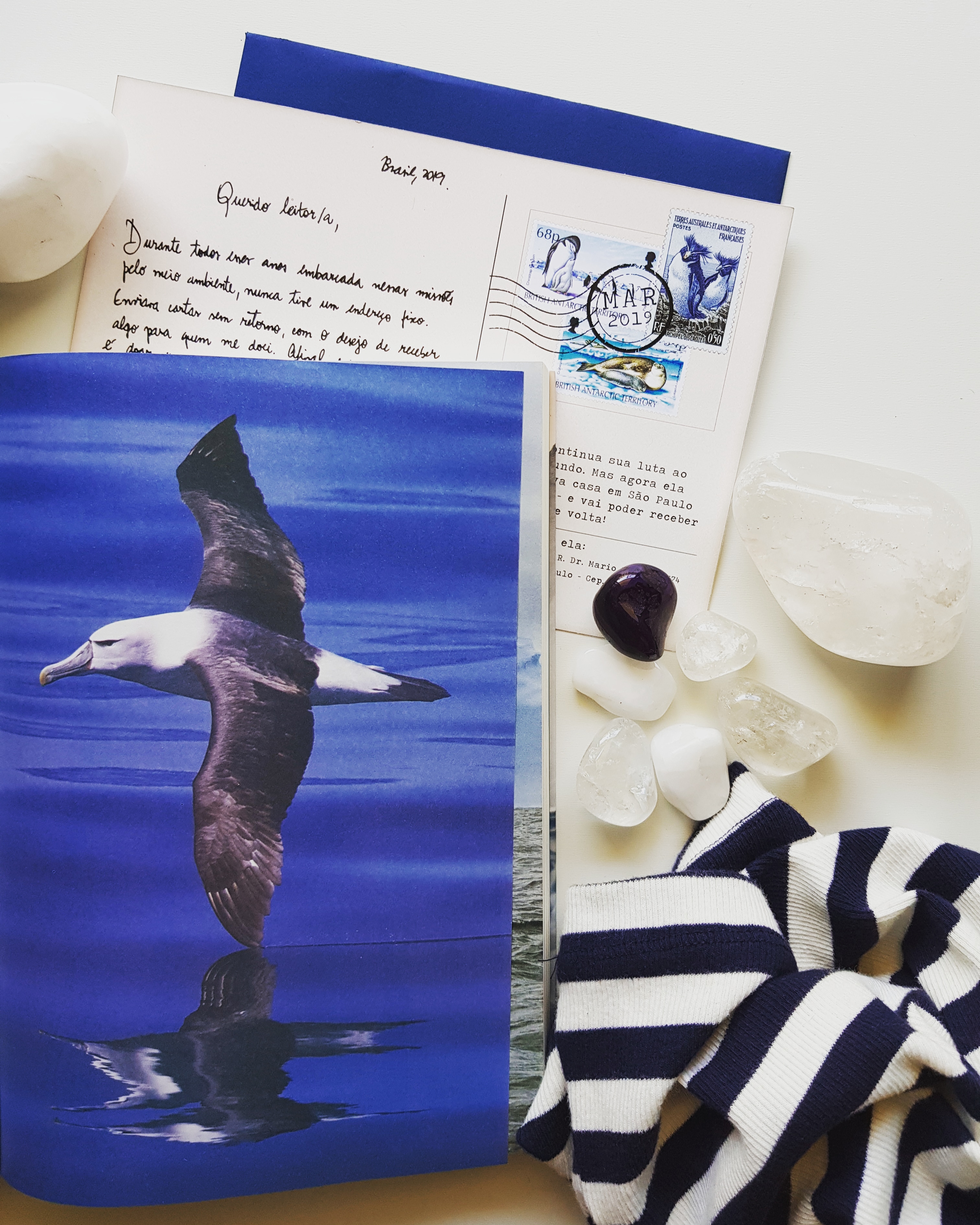 Resumo: Sete Anos em Sete Mares, de Barbara Veiga - blog de psicologia Melkberg - vida - mar - natureza - Sete Anos em Sete Mares - Barbara Veiga - jornalista - fotógrafa 