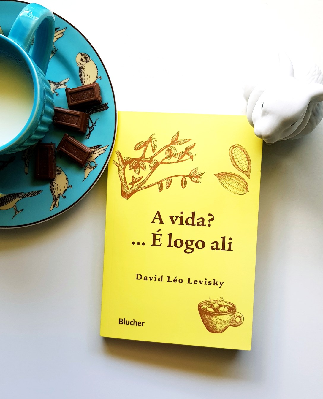 Livro de David Léo Levisky: A Vida?... É Logo Ali - blog de psicologia Melkberg - David Léo Levisky - a vida?... é logo ali - Lina - Gabriela - família - outro - filhos - história - chocolate - livro - cuidados - mulheres