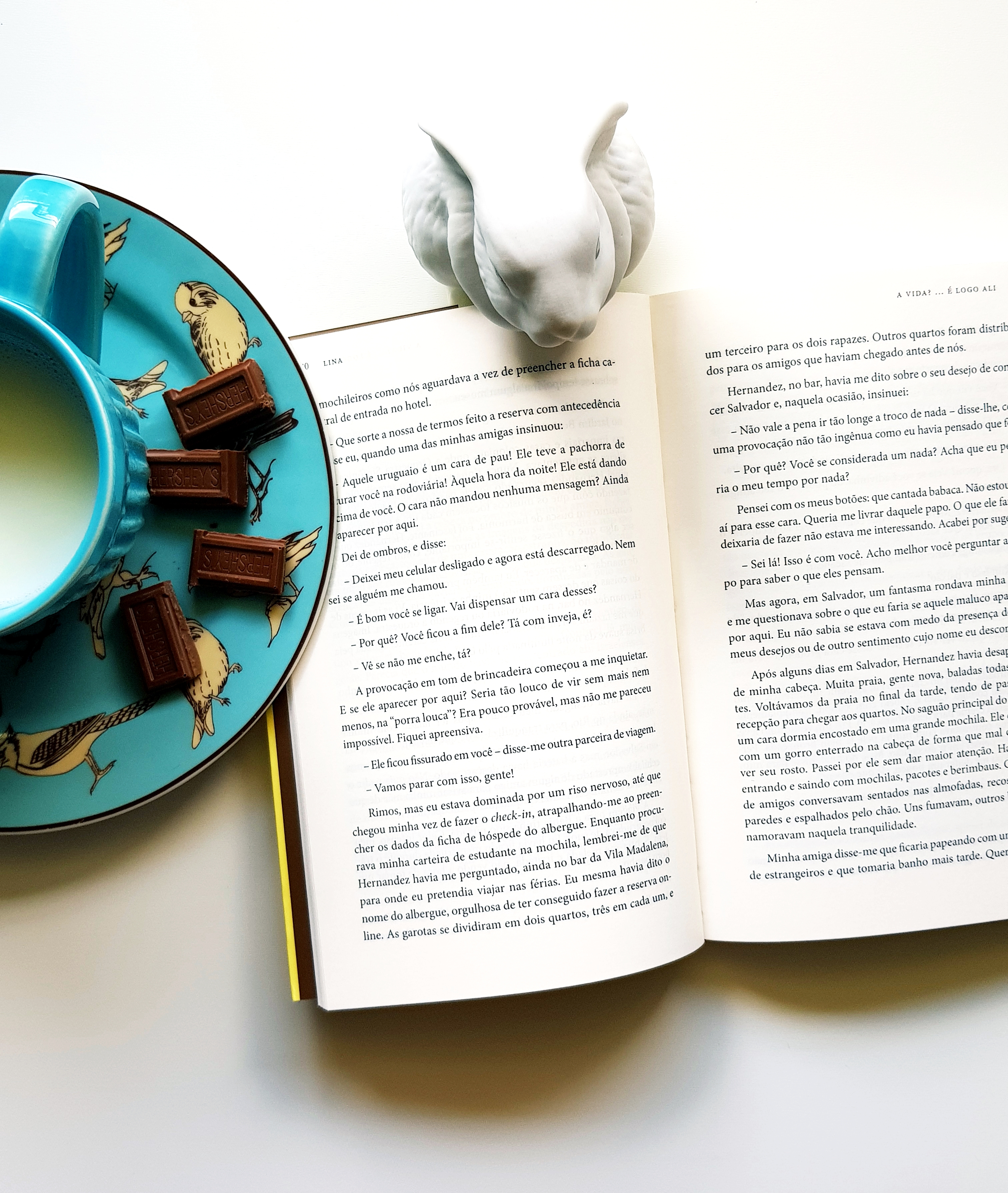 Livro de David Léo Levisky: A Vida?... É Logo Ali - blog de psicologia Melkberg - David Léo Levisky - a vida?... é logo ali - Lina - Gabriela - família - outro - filhos - história - chocolate - livro - cuidados - mulheres