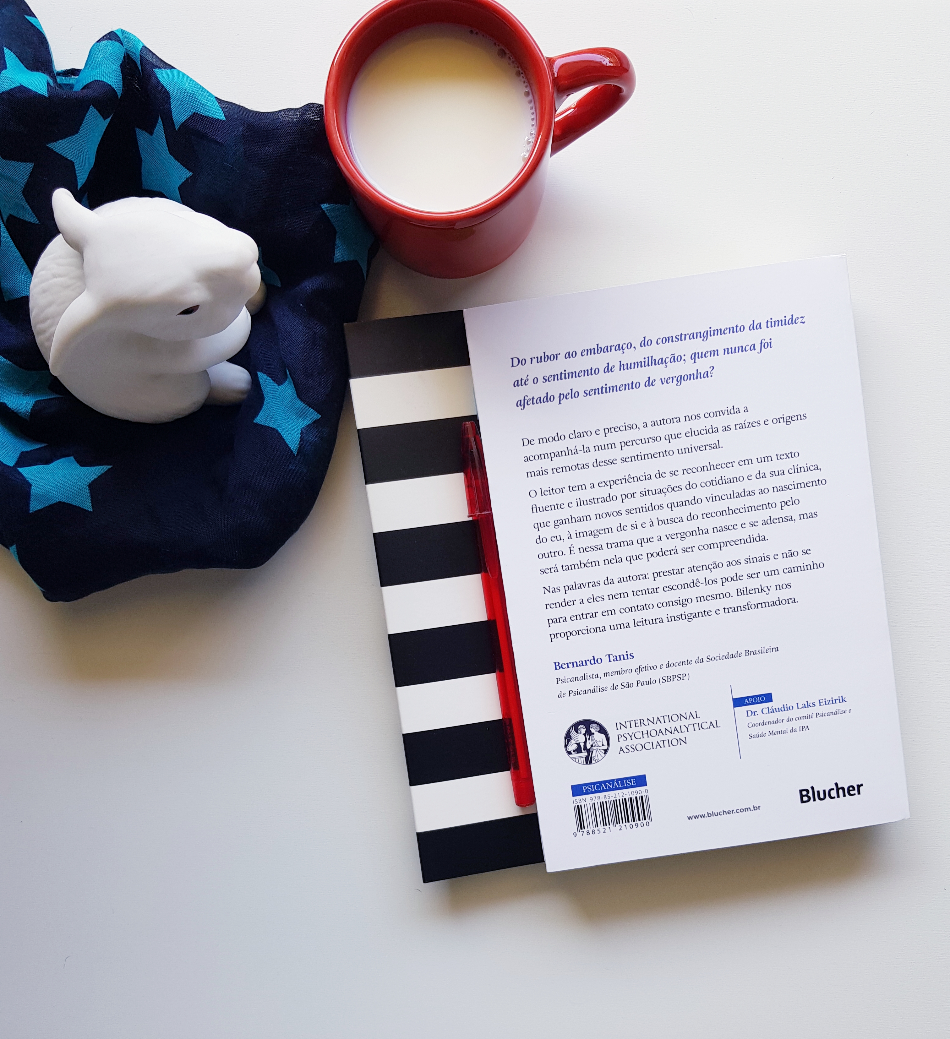 Livro De Psicanálise: Vergonha – Série O Que Fazer? - blog de psicologia Melkberg - autora - livro - psicanálise - sentimento - vergonha - vergonha série o que fazer