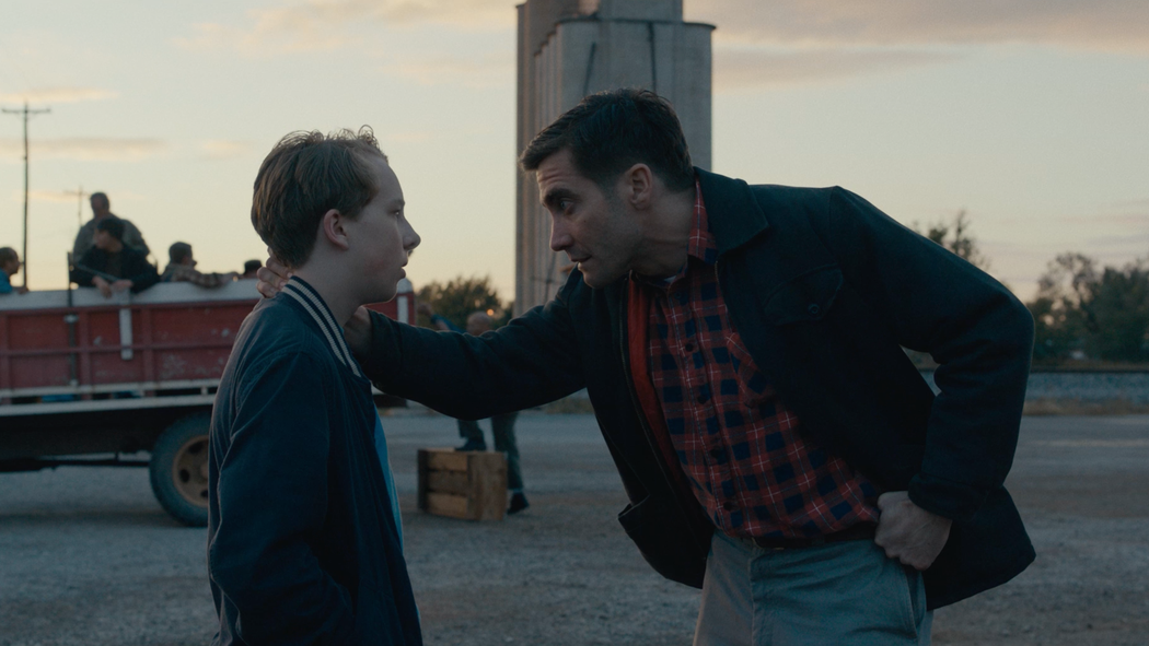 wildlife-videoSixteenByNine1050