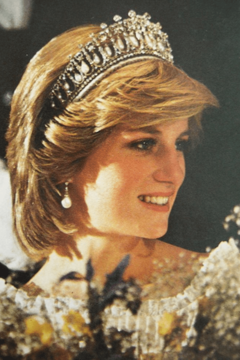 O conto de Lady Di - Princesa diana - genograma - diana de gales - blog Melkberg